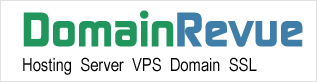 DomainRevue Services